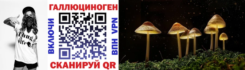Псилоцибиновые грибы мухоморы  Зерноград 